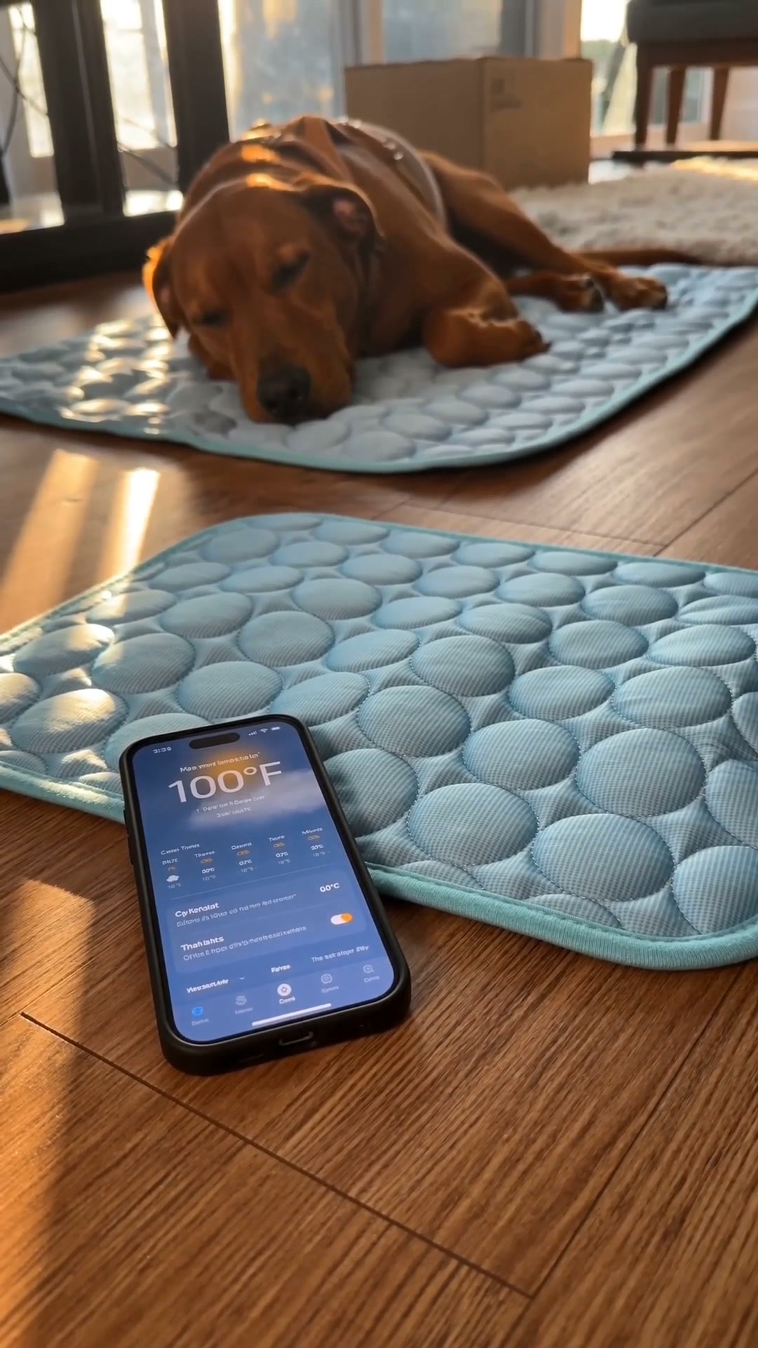A Cooling Mat That Actually Feels Cool