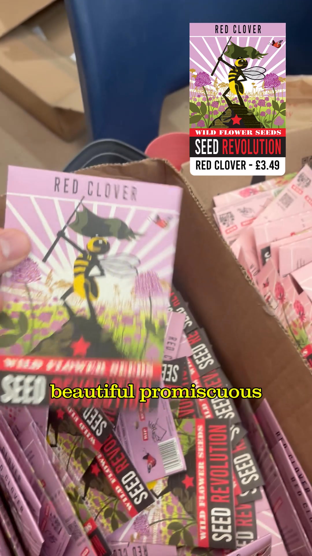 Wildflowers That Actually Grow