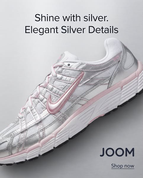 Nike P 6000: Silver