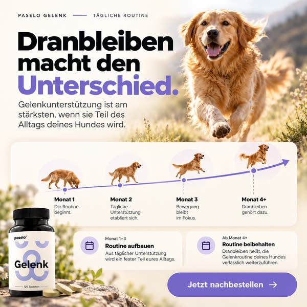 Dranbleiben macht den Unterschied.