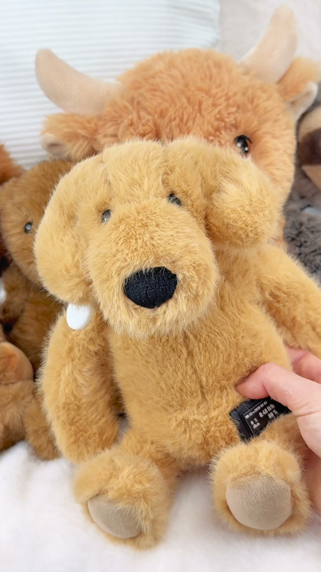 Free shipping on all T1D plushies