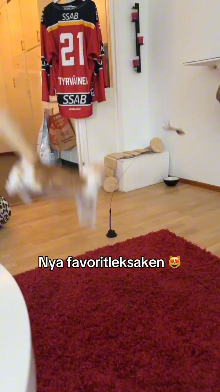 Jaktbågen - 30% REA