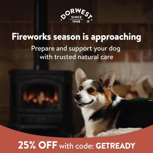 Save 25%