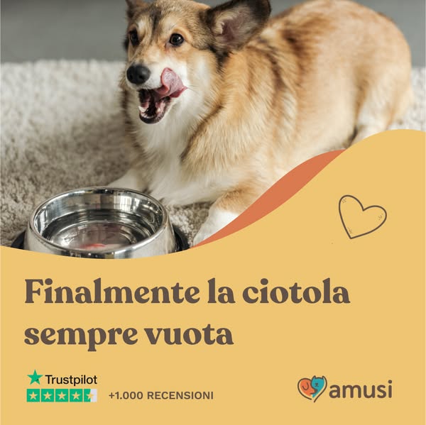 Finalmente la ciotola sempre vuota