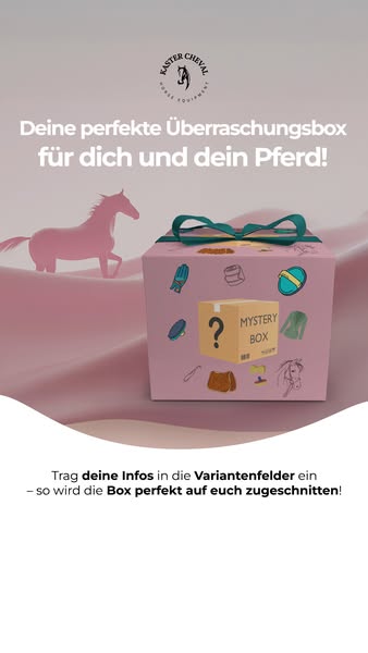 Deine Pferde Mystery-Box wartet!