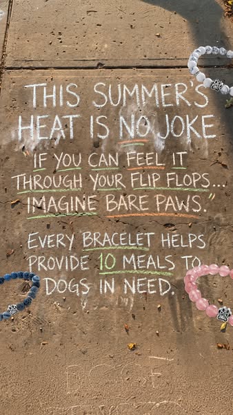 Save The Paws Bracelets