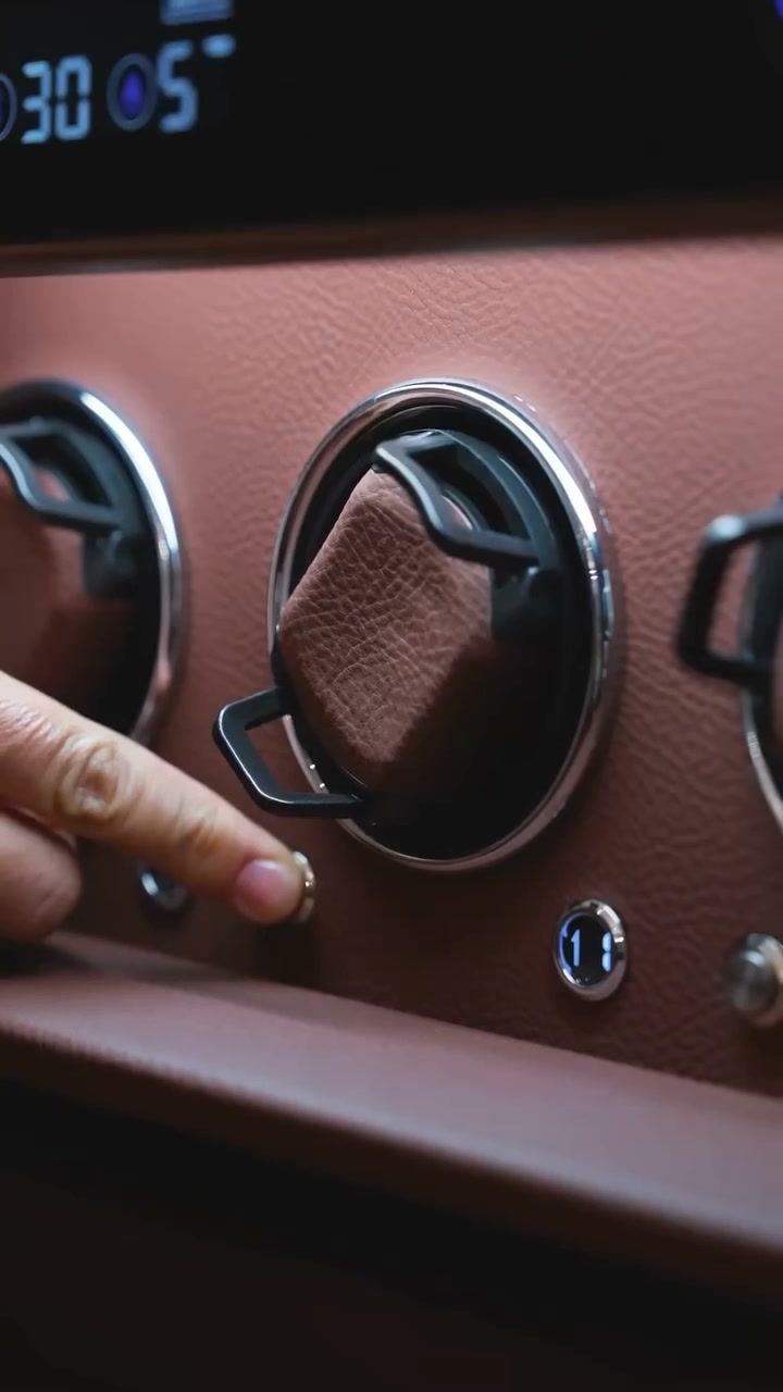 Luxury Storage, Smart Security – Fingerprint Watch Winder
