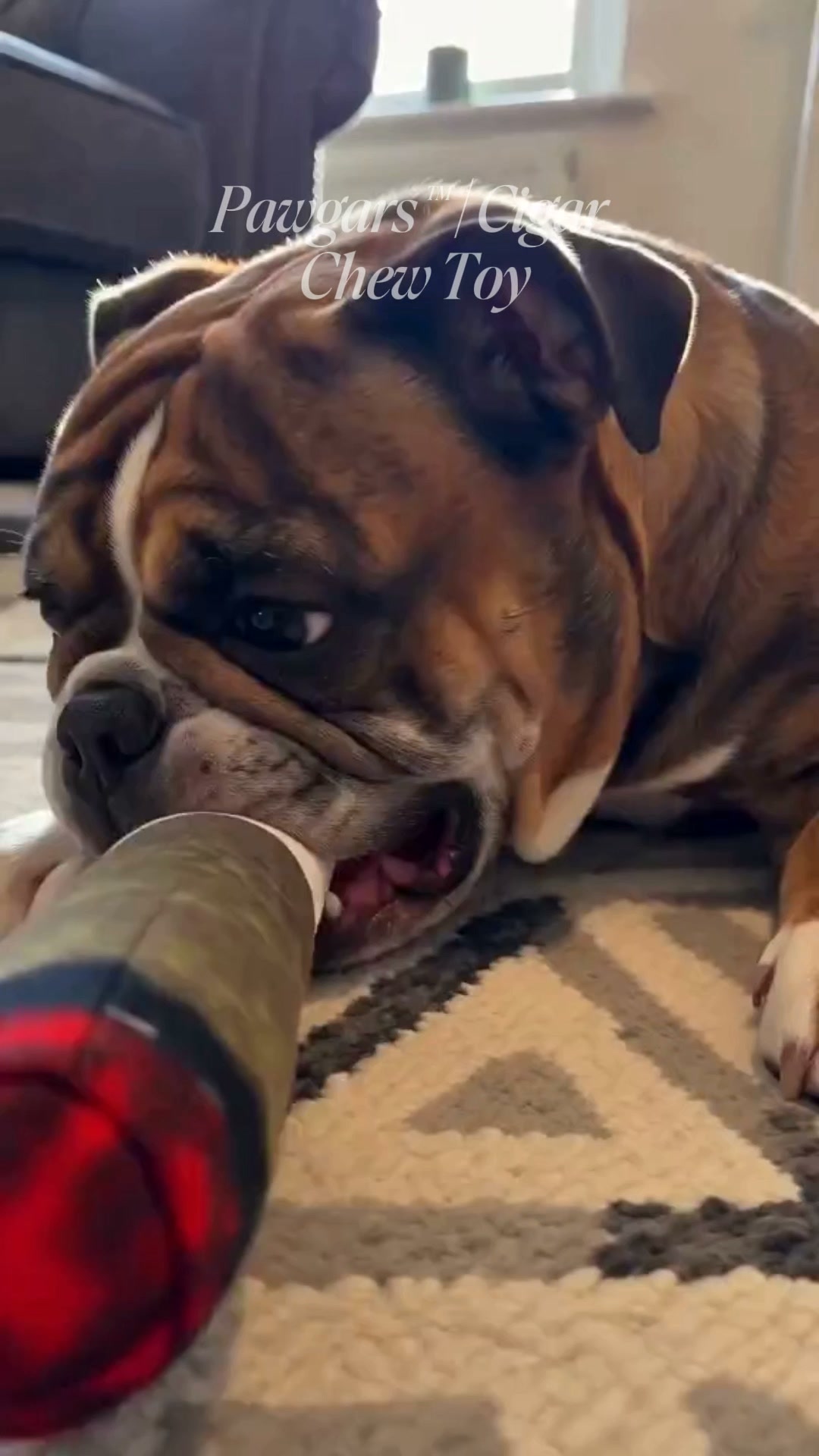 Pawgars™ | Cigar Chew Toy