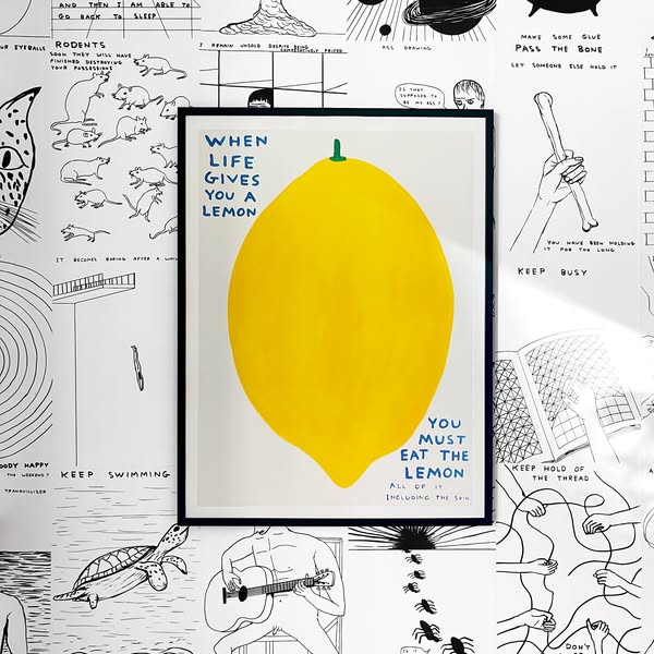 When Life Gives You A Lemon | Best Selling Shrigley Poster
