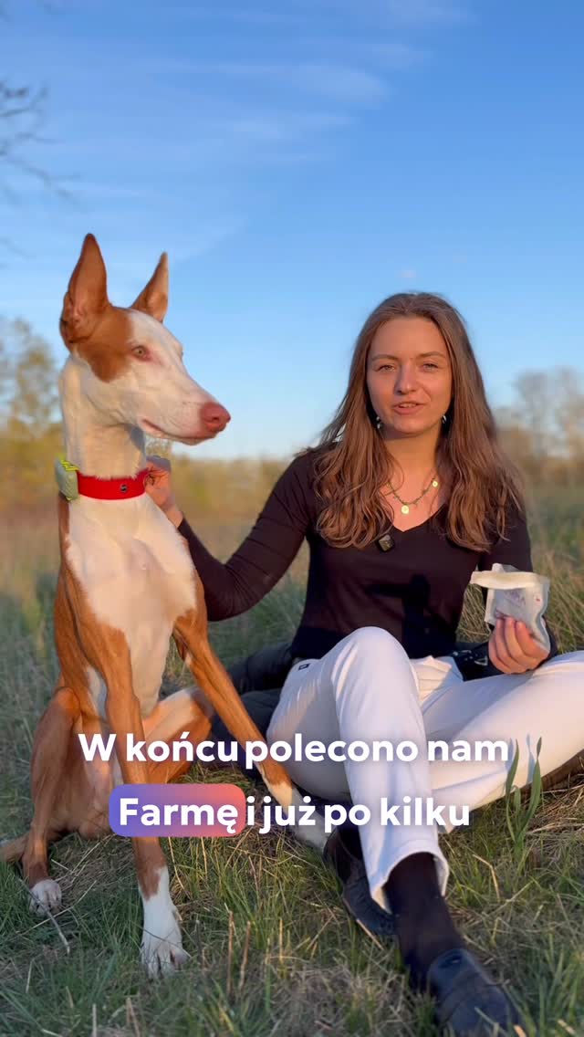 Koniec z rewolucjami żołądkowymi u Twojego psa!