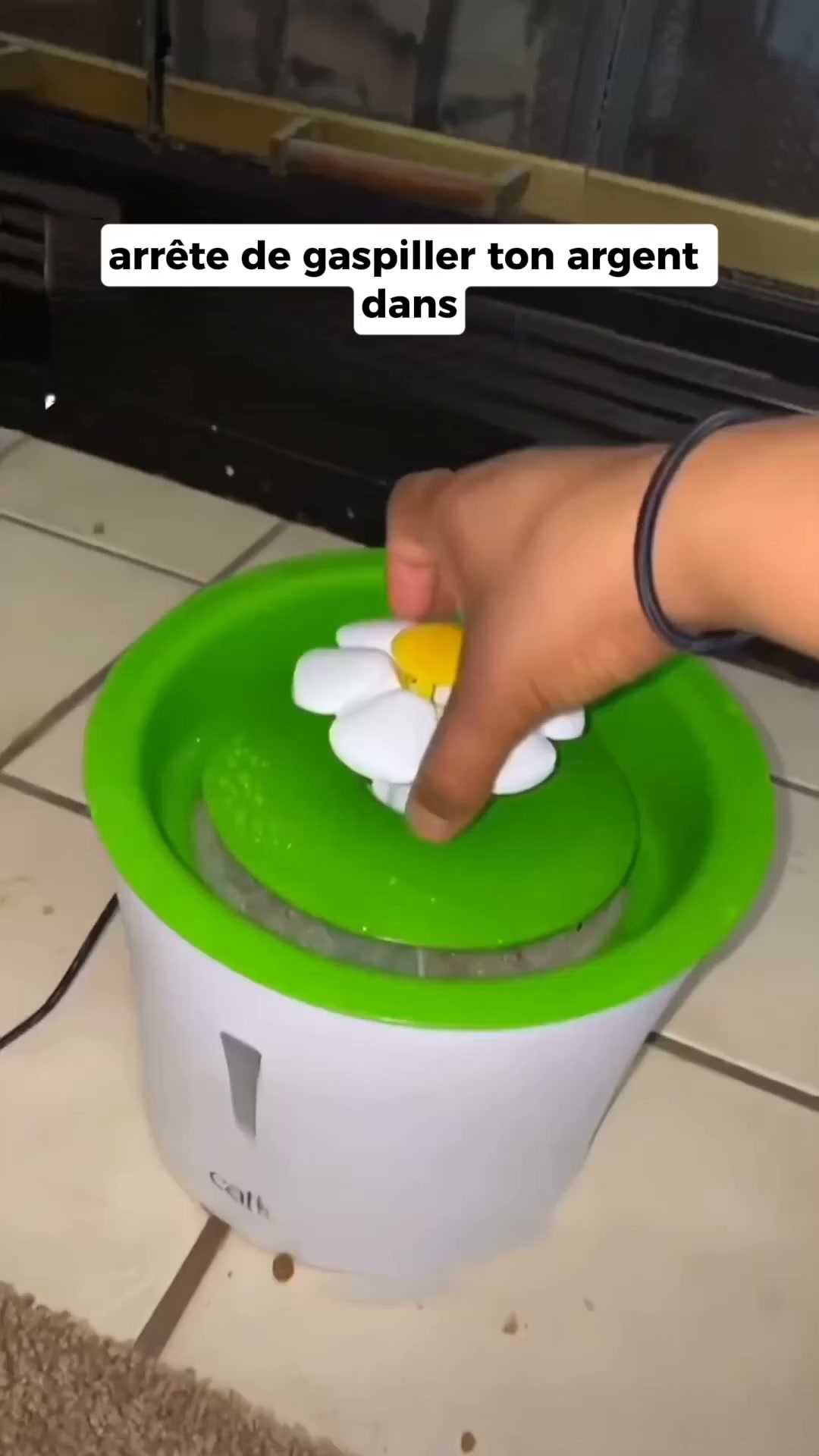 Recommandé par 10 000 maîtres