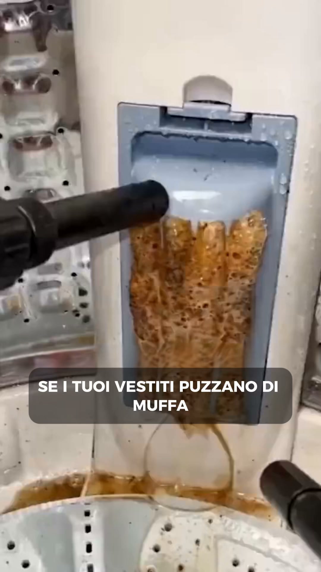Se il bucato ha ancora un odore sgradevole dopo aver pulito la lavatrice... ecco la spiegazione