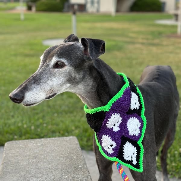 Spooky Skull Bandana Crochet Pattern