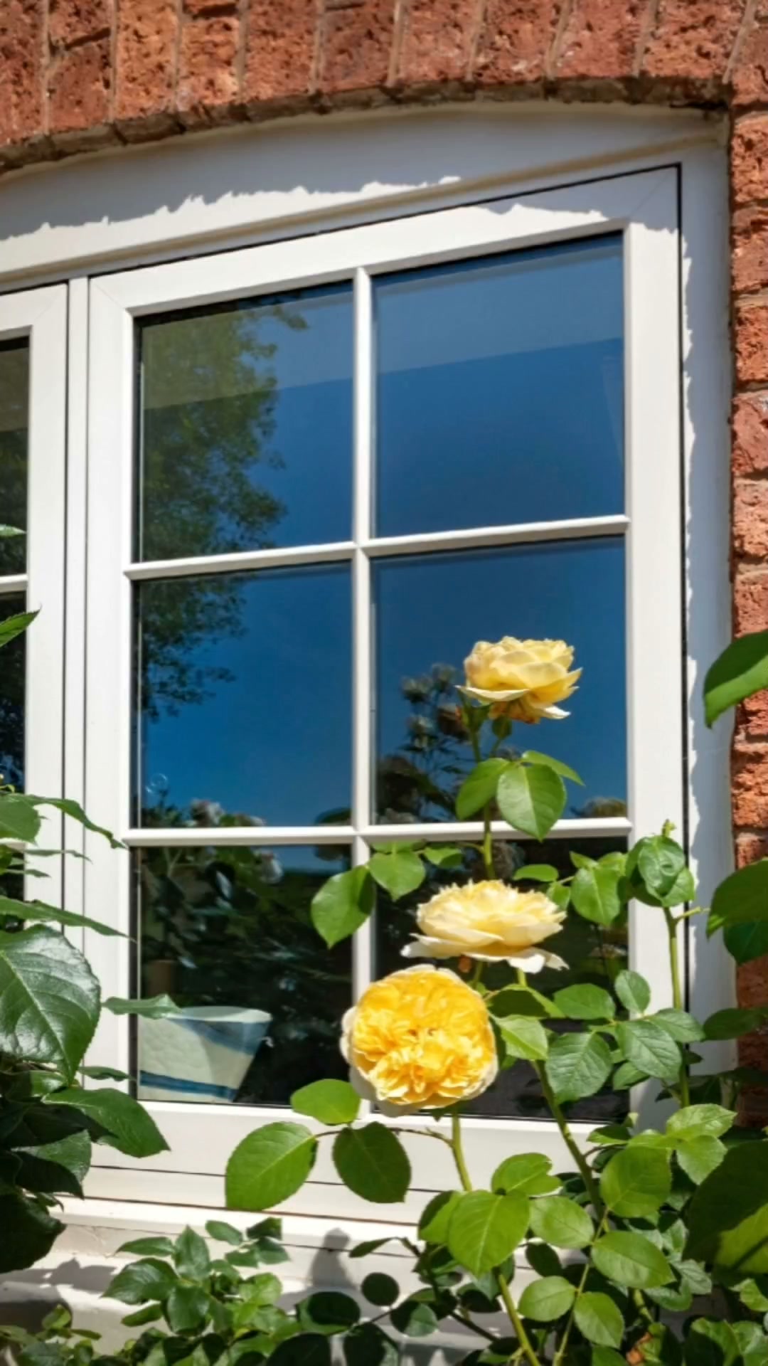 Brighten Your Home & Save 15% on uPVC Windows
