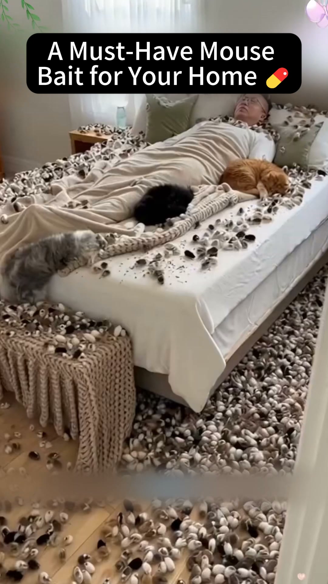 Keep Unwanted Rodents Away