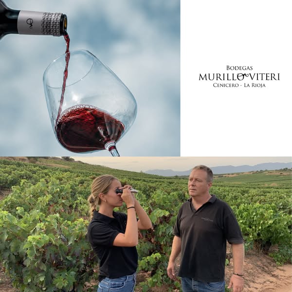 El sabor de Rioja en tu mesa
