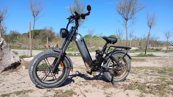 Je recommande vivementCMACEWHEEL V20 SUV E-bike