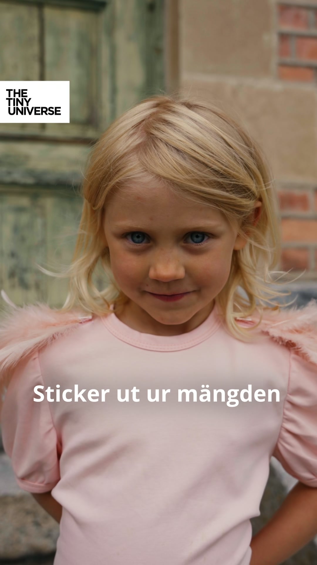 Fri frakt på hela kollektionen