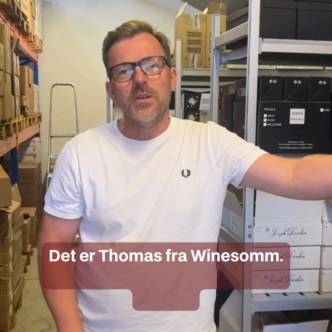 Spar 24% på Bibi Graetz, Testamatta 2020!