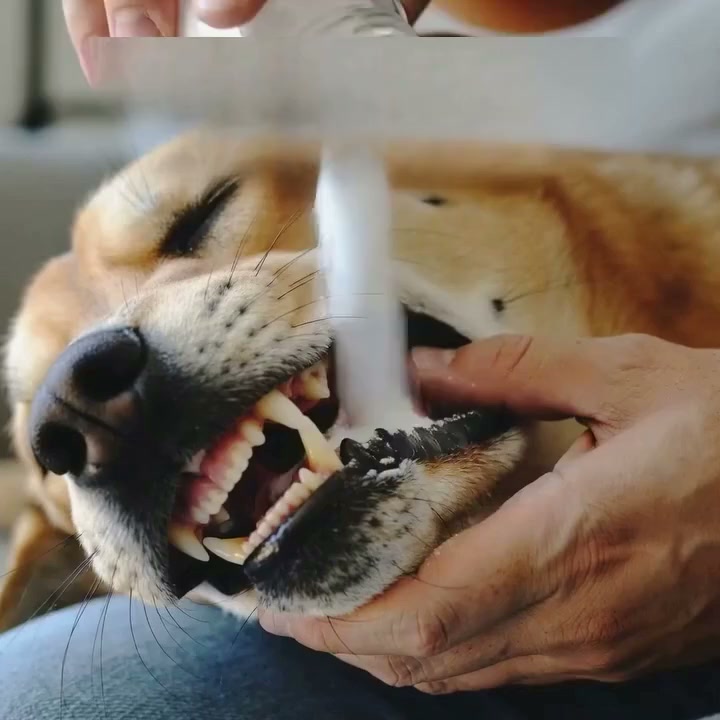 Rimuovi il tartaro — Comodea Dental