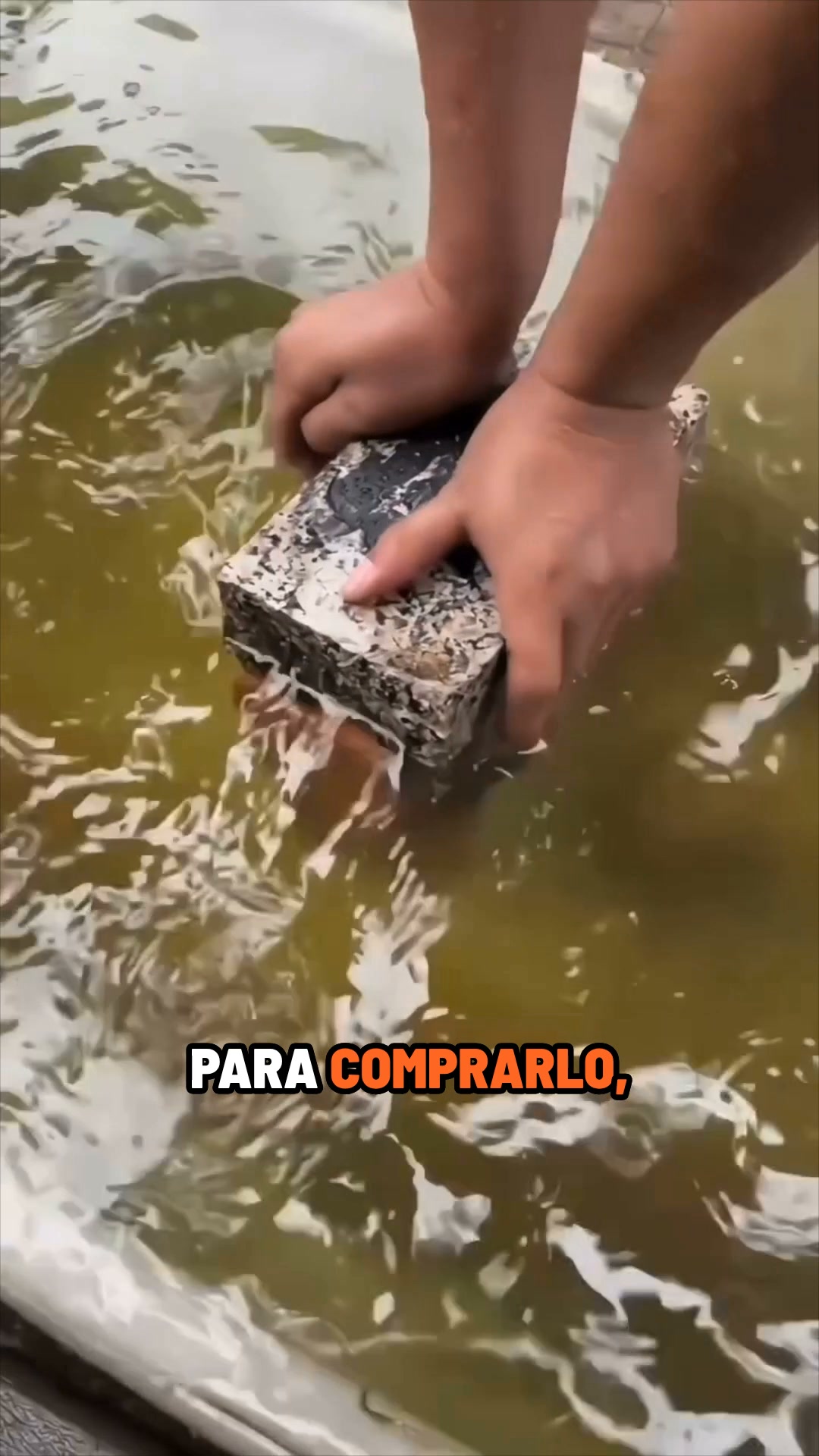 Envío Gratis: 24h y Pago Contrarrembolso