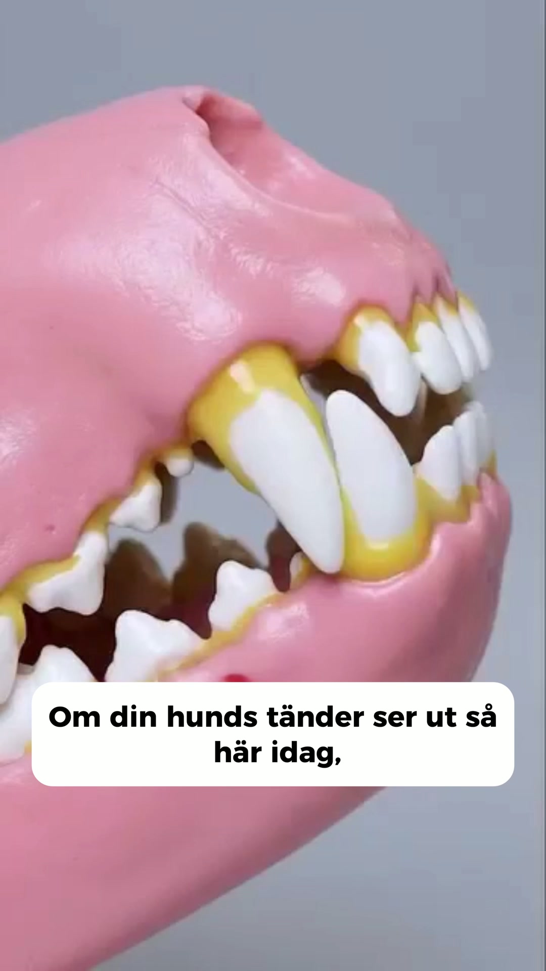 Betala senare med Klarna