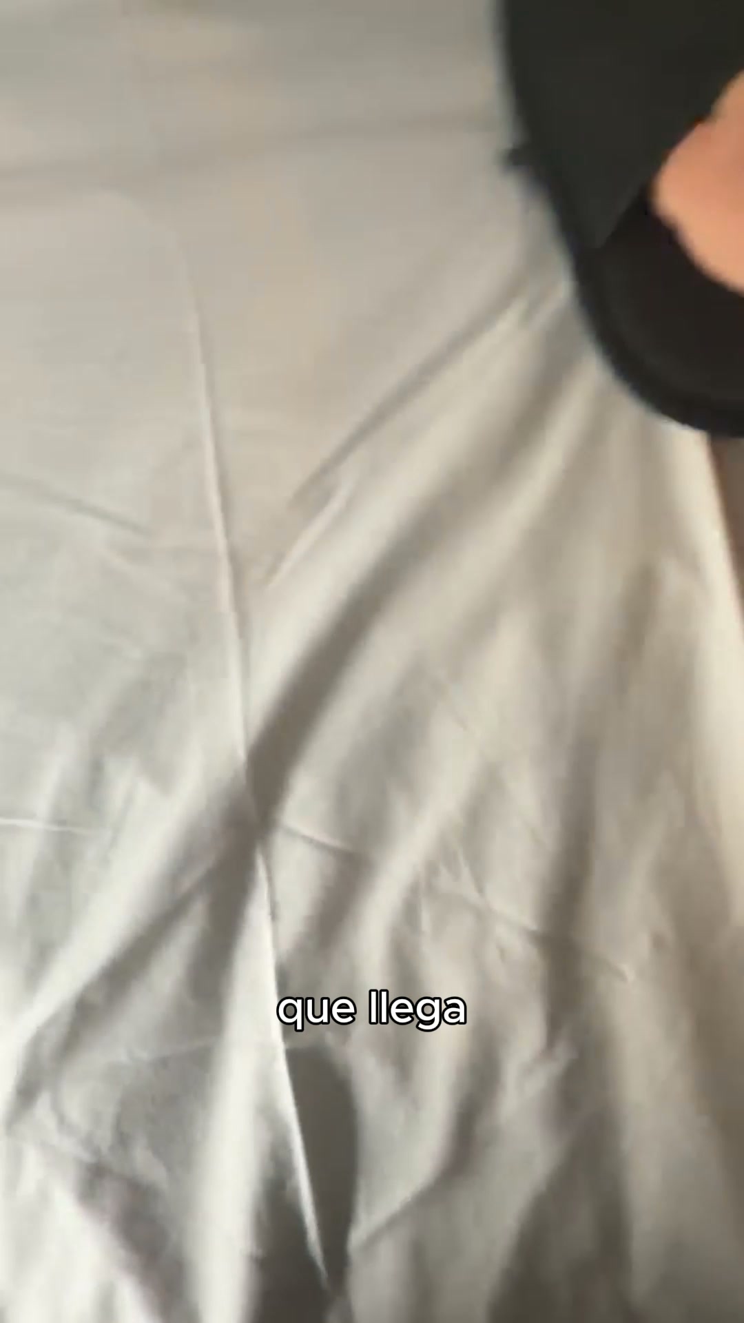 Gánale la batalla al pelo de tu mascota.