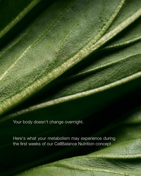 CellBalance Nutrition & Fine Dining — Mount Med