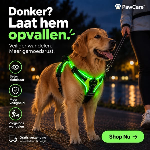 LED-harnas: zichtbaar én comfortabel