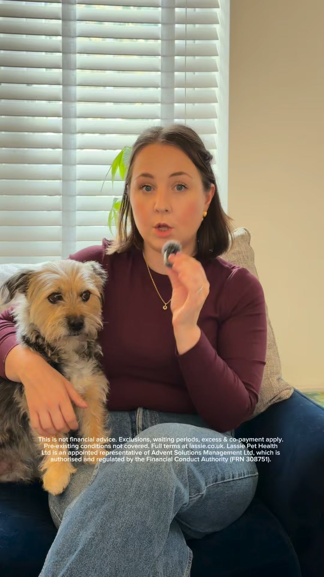 Insure your pet today