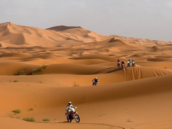 MERZOUGA SAND TRAINING