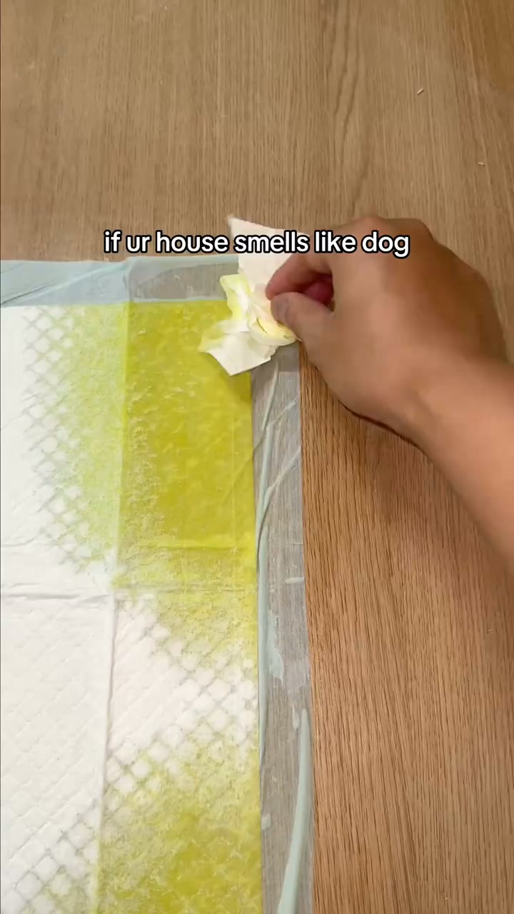 Still Smells Like Dog After Cleaning?