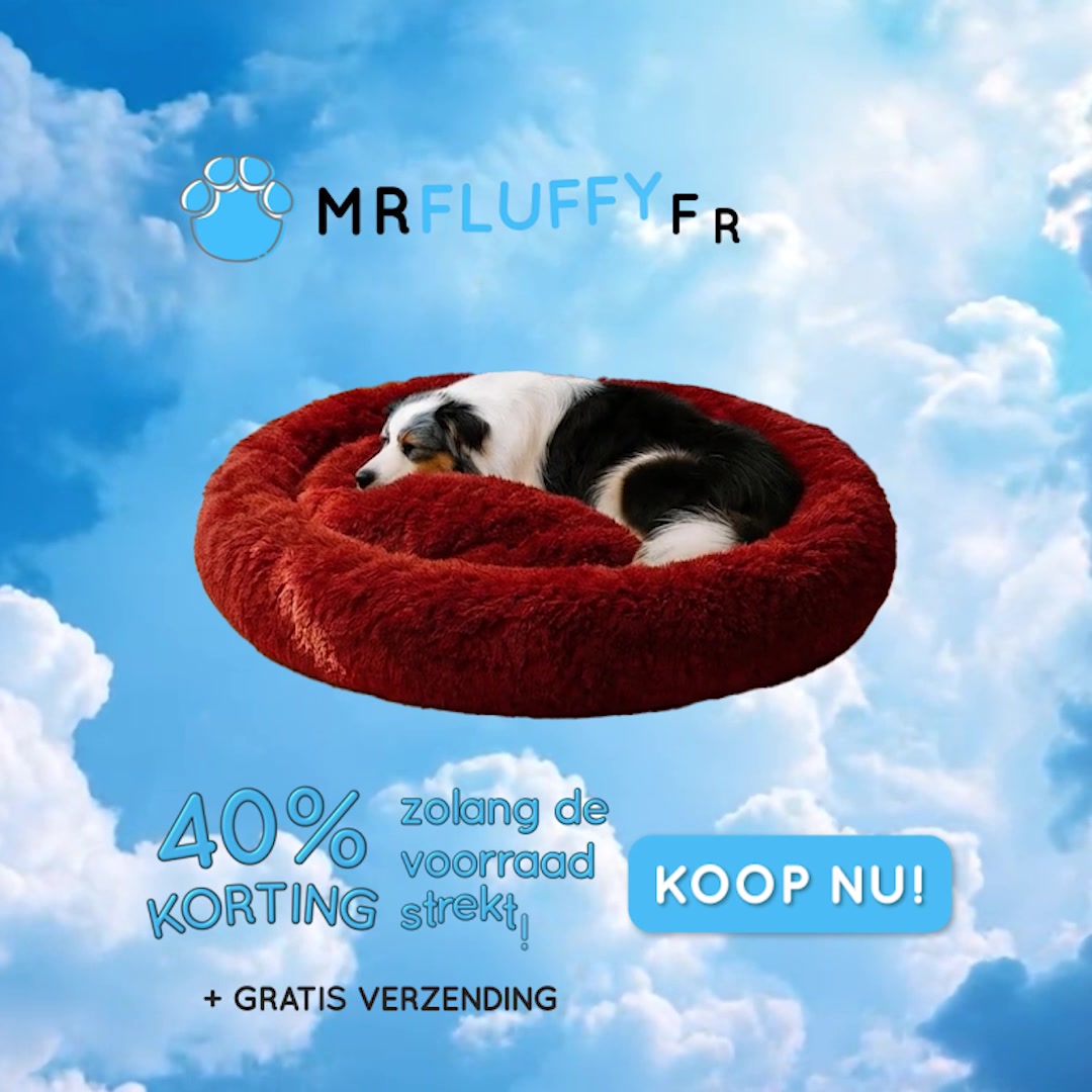 Het Beste Bed Tegen Angst en Stress