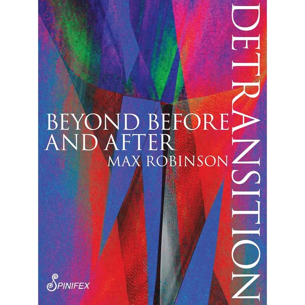 Detransition : Beyond Before and After