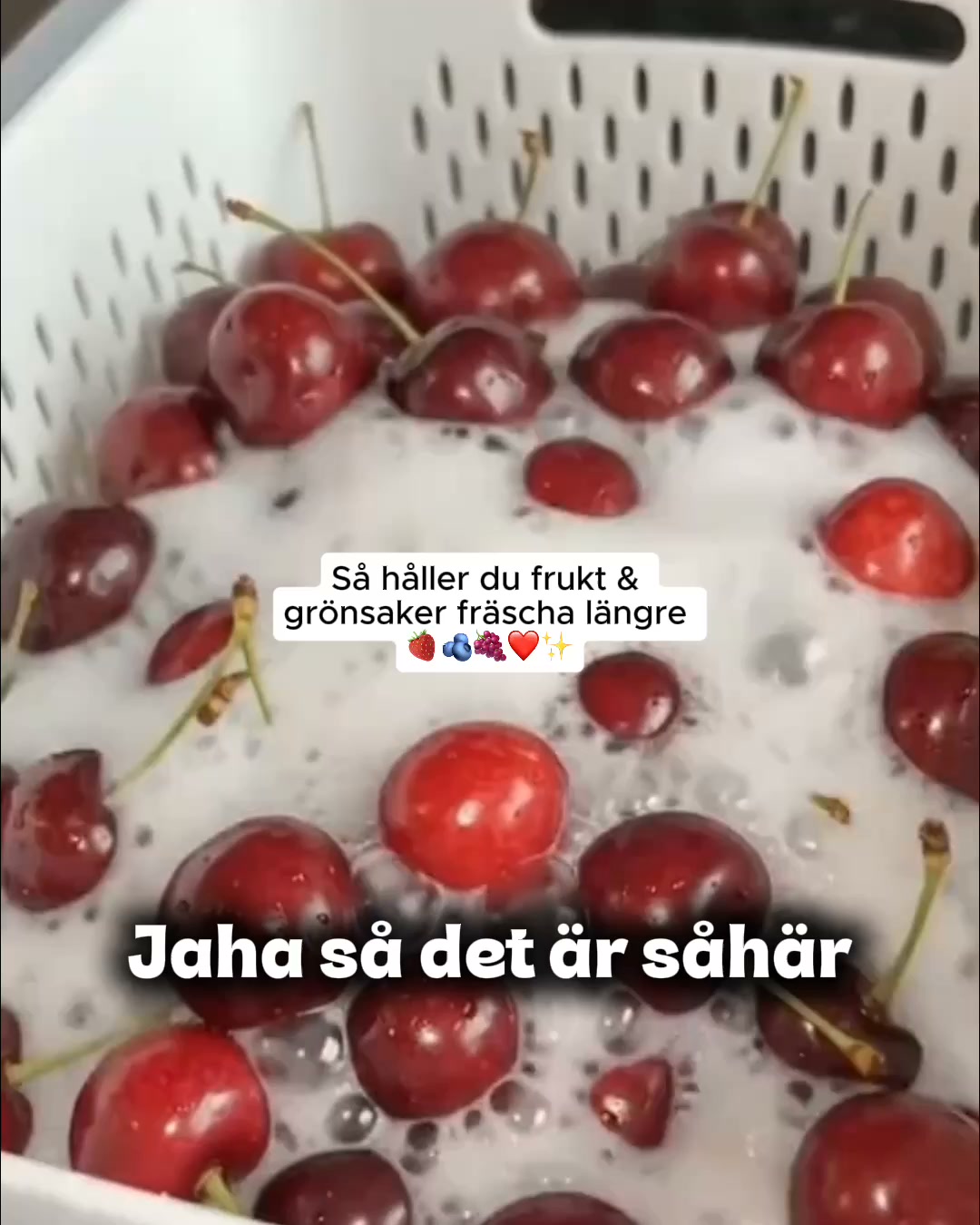 Upptäck varför tusentals väljer Färskro