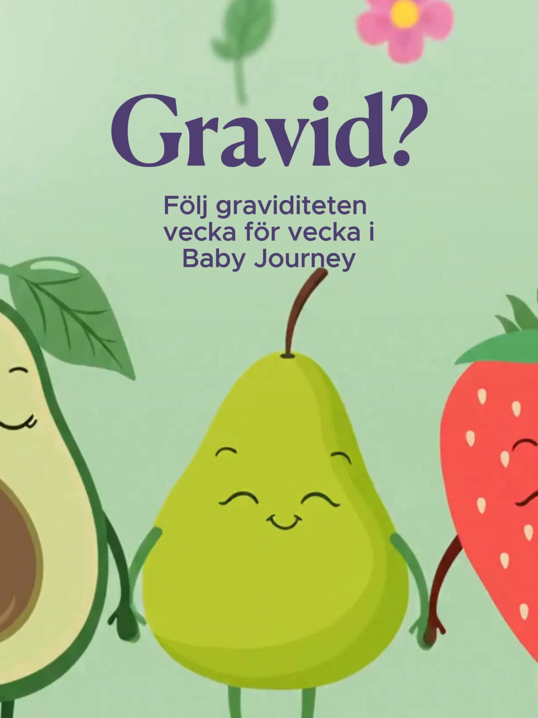 Allt om din graviditet