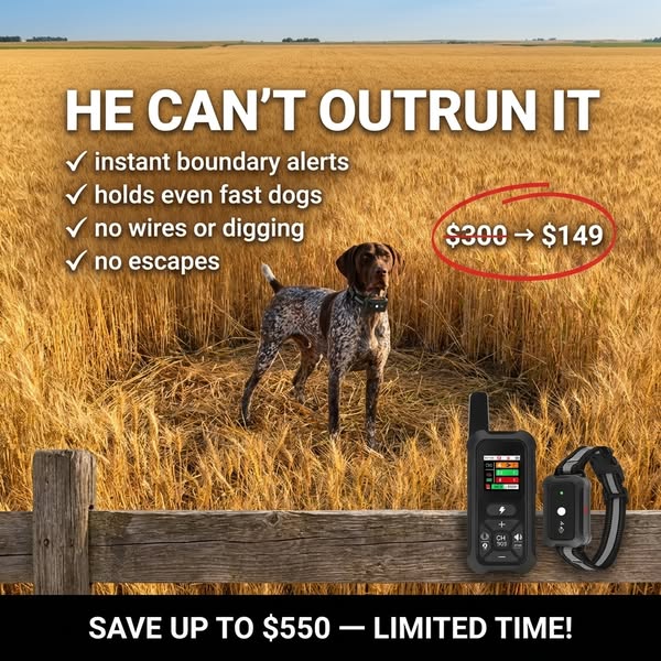 How Dog Trainers Handle Escape Artists