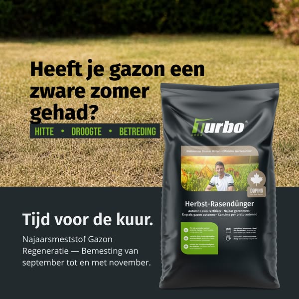 Je gazon redden na de zomer