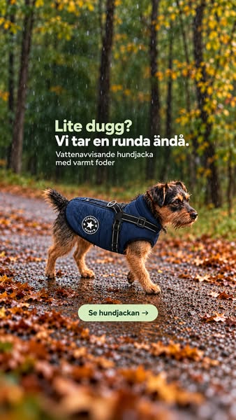 Hundjacka med inbyggd sele