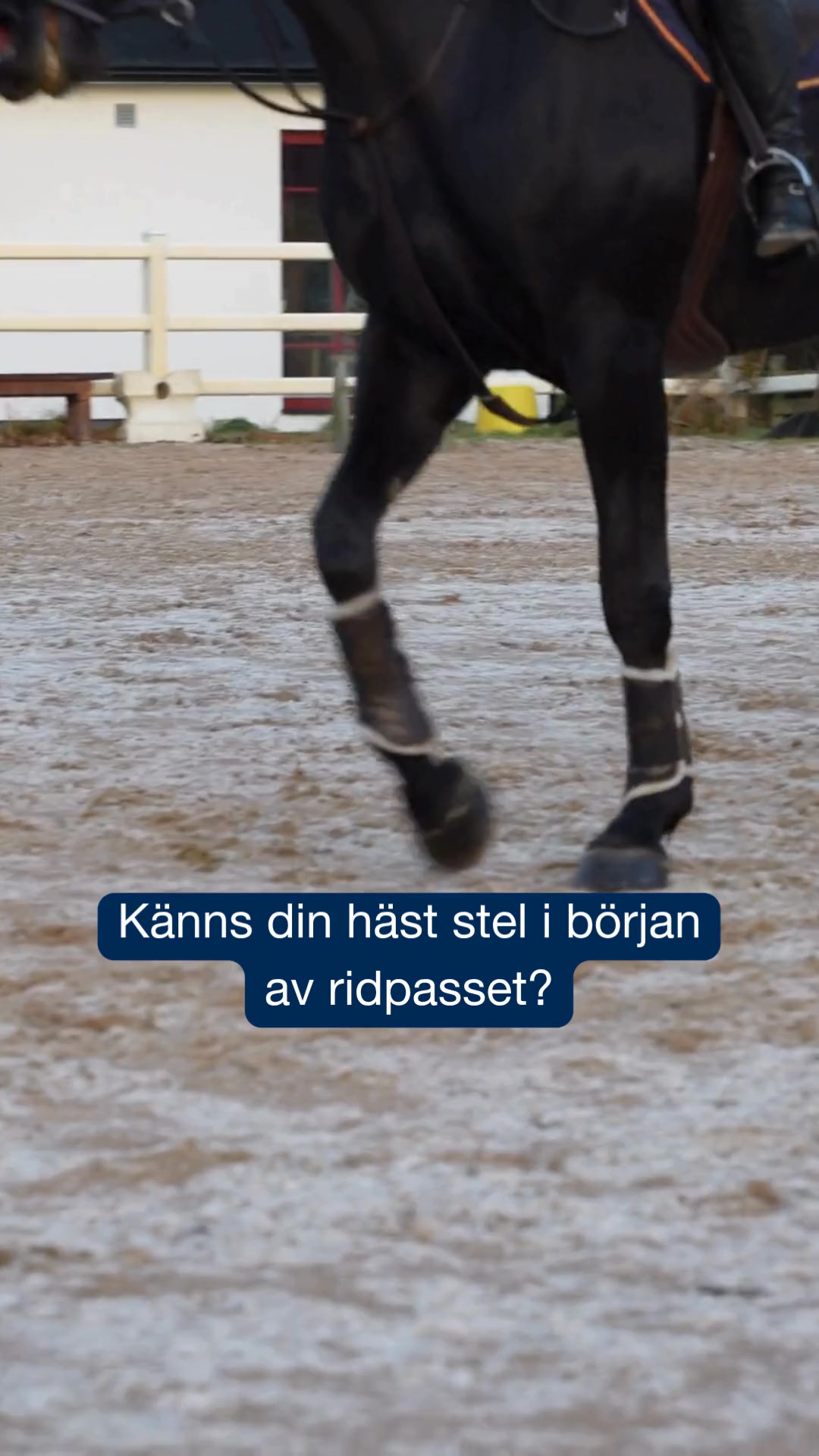 Känns din häst stel?