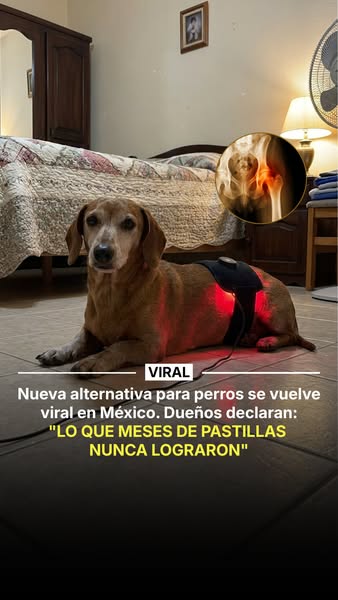 Lo que meses de pastillas nunca lograron — 10 min al día