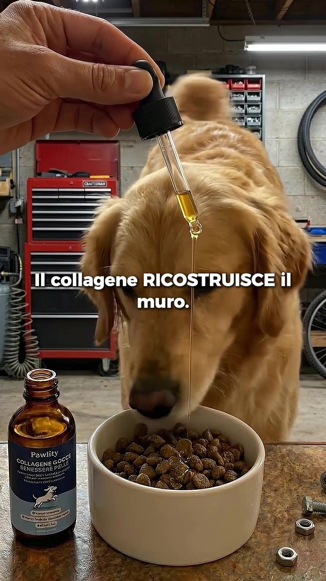 Questo è quello che uso