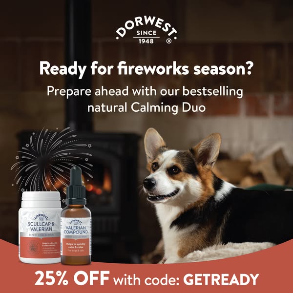 Prepare ahead and save