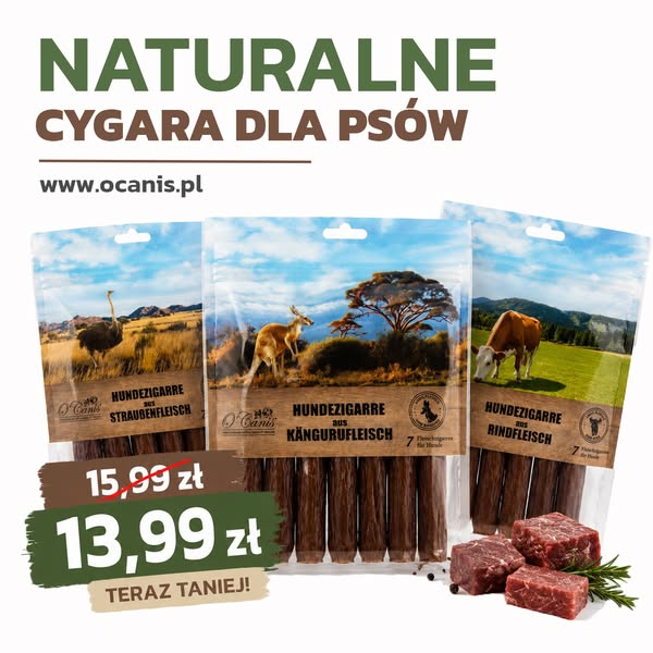 A czy Ty, masz już swojego faworyta?