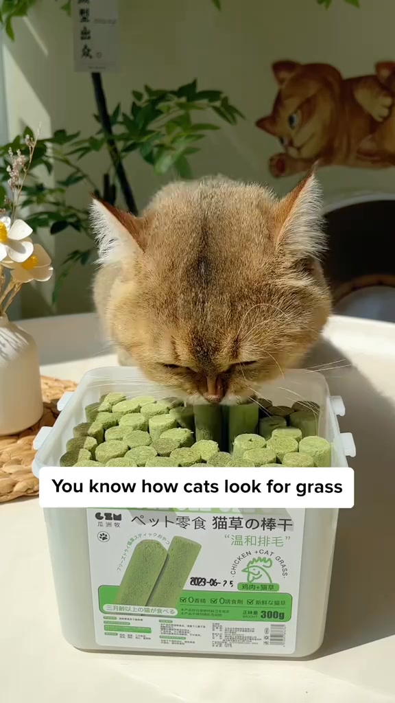 One Treat. Endless Cat Health Benefits.