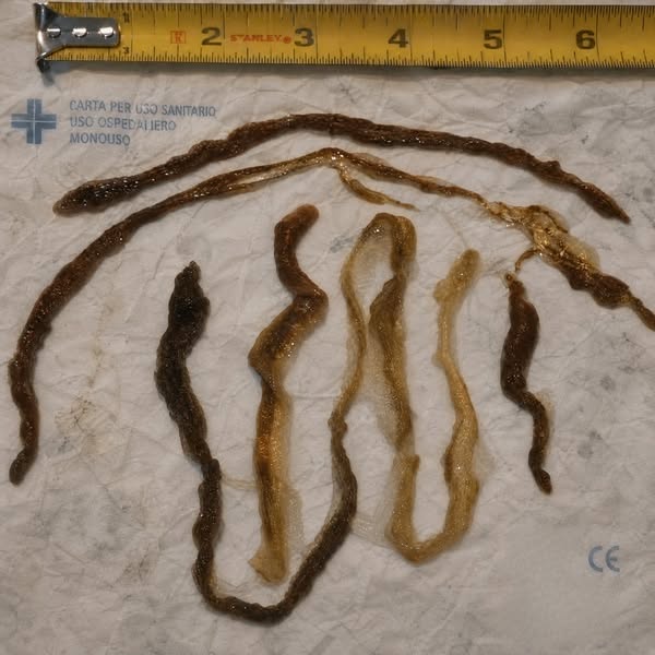 Soutenez le bien-être naturel de votre corps