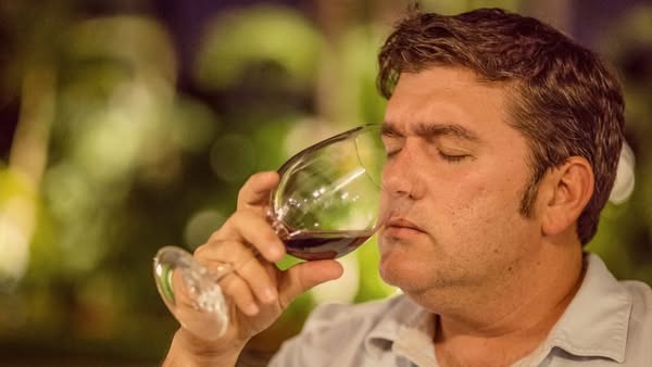 Cómo entrenar el olfato para una cata de vino