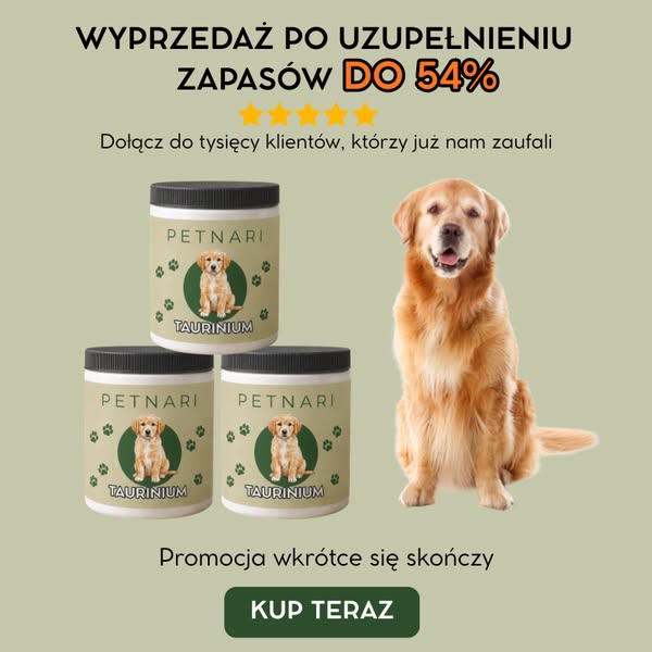 Dziś do 54% taniej
