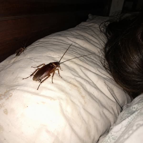 How I Finally Sleep Through The Night
