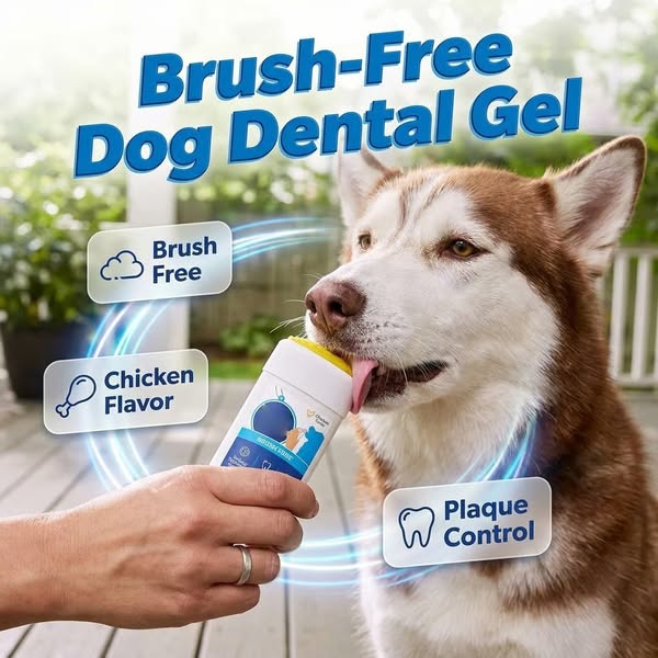 Daily Dog Dental Gel – Gentle Oral Care Without the Brush